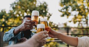 New Study Unveils America’s Top Beer Pick