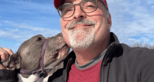 Magic Mushrooms on My 60th Birthday: A Transformative Journey Beyond Expectation