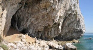 Ancient Hearth Reveals Neanderthals’ Advanced Tar-Making Skills from 60,000 Years Ago