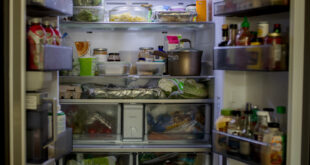 Aldi’s Storage Accessory: A Game-Changer for Fridge Organization