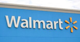 Walmart’s 9 Outdoor Storage Shed: Tame Garage and Patio Clutter with Spacious Style