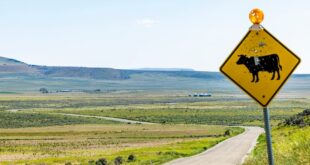 Here’s what’s happening with data center projects in other states
