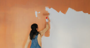 Regrettable Accent Wall Colors and Timeless Alternatives