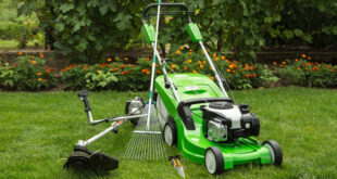 Top 5 Costco picks for outdoor tool storage