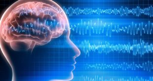 Brainwaves Uncover Two Biological Causes of Psychopathy